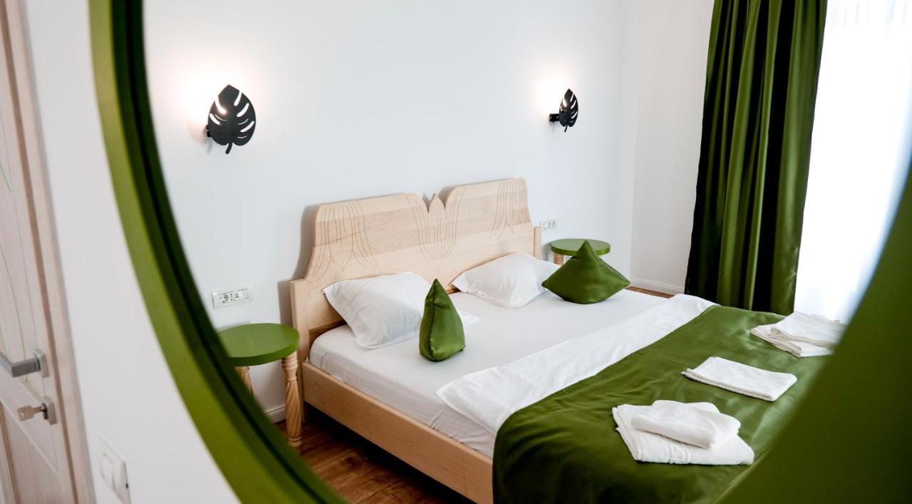 Conacul Olarilor Bed and Breakfast Baia de Fier Exteriör bild